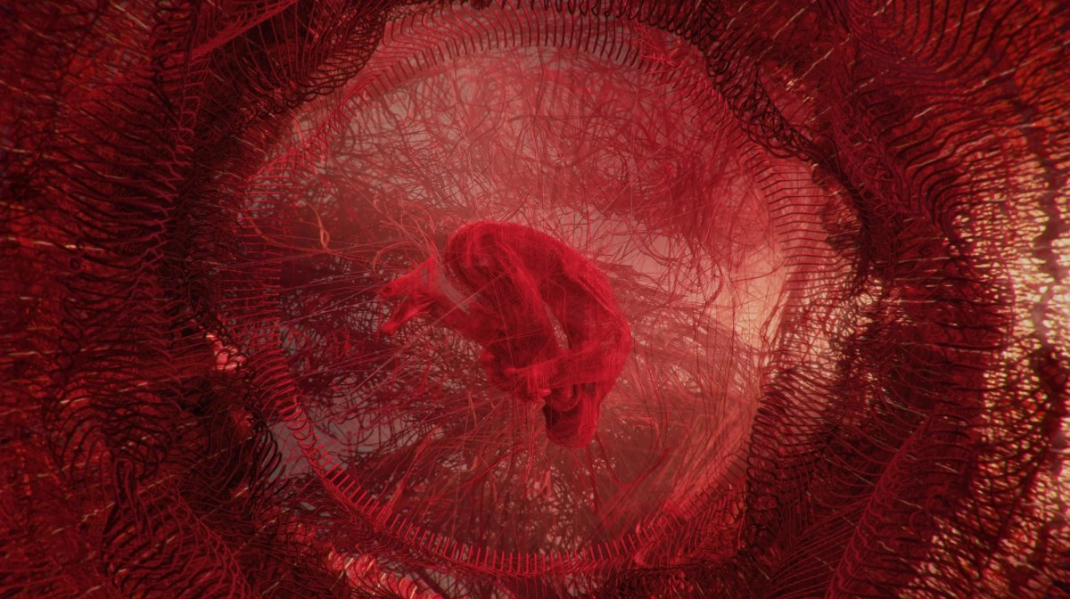 A woven red, embtyonic figure floats in a womb of red wool: an image from the the Sunshine Coast's Experimenta exhibition.